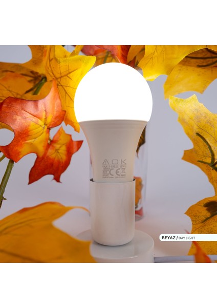 A70 Led Ampul 6500K Beyaz Işik 1450Lm 220-240V 15W E27