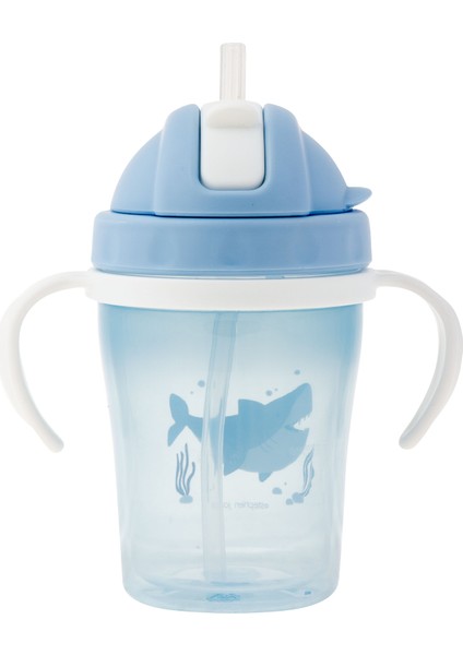 Pipetli Bardak Köpek Balığı