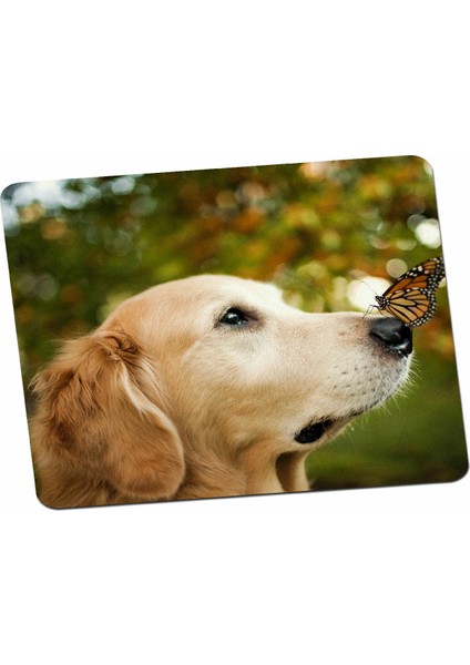 Panorama Ajans Golden Köpek Tatlı Kelebek Mouse Pad