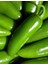 Barut F1 (Hibrit) Jalapeno Biber Tohumu (20 Adet) 1