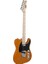Telecaster Tl-Yw Elektro Gitar (Taşıma Çantası ) 1
