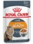 Dr. Sacchi Royal Canin Intense Beauty Jelly Pouch Kedi Maması 85 gr 1