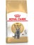 Royal Canin British Shorthair Adult Yetişkin Kedi Maması 2 kg 1