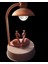 Işıklı Müzikli Flamingo Pembe Gece Lambası 2