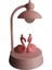 Işıklı Müzikli Flamingo Pembe Gece Lambası 3