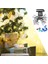 20 LED Güneş Dize Işıkları Açık Bahçe Yard Dekor Lamba Su Geçirmez Renk (Yurt Dışından) 2