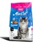 Maxicat Somonlu Yetişkin Kedi Maması 15KG 1
