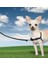 ™ Harness - Small Siyah Köpek Tasması 2