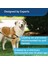 ™ Harness - Small Siyah Köpek Tasması 7