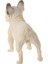 Gerçekçi Bulldog Action Figure Doğa Eğitici Oyuncaklar Ev 5