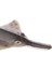 Gerçekçi Deniz Yaratığı Sawfish Model Action Figure Dekoratif Koleksiyon (Yurt Dışından) 4