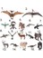 Gerçekçi Kretase Pterodactylus Model Action Figure Çocuk Oyuncak Tahsil (Yurt Dışından) 4