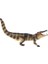 Plastik Boarcroc Timsah Hayvan Action Figure Çocuklar Için Oyuncak Parti Iyileri 1