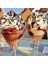 16 Adet Paslanmaz Çelik Çiçek Kahve Kaşığı Tatlı Kaşığı Şeker Kaşığı Dondurma Kaşığı Çay Kaşığı Milkshake Kaşığı 5
