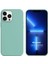 Apple iPhone 13 Pro Kılıf Liquid Lansman Silikon Su Yeşili 1
