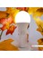 A70 Led Ampul 6500K Beyaz Işik 1450Lm 220-240V 15W E27 4
