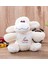 Kişiye Özel Müdür Peluş Koyun 1