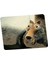 Buz Devri The Ice Age Sincap Mouse Pad 1