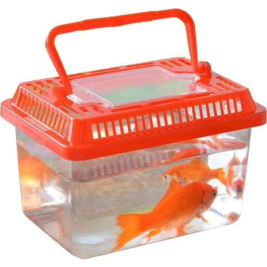 Hasyılmaz Betta Kabı 18X11X13CM - Mika Kaplumbağa Balık Taşıma Kabı