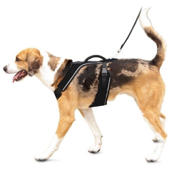 Easy Sport™ Harness Large Siyah Köpek Tasması Fiyatı