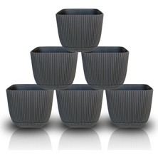 Toxa 6 Adet 0,27 Litre Antrasit Gri Mercan Kare Saksı Mini Boy Plastik Minik Kaktüs Sukulent Saksısı No1