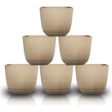 Toxa 6 Adet 0,27 Litre Sütlü Kahve Mercan Kare Saksı Mini Boy Plastik Minik Kaktüs Sukulent Saksısı No1