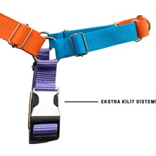 Jimi Pet Juno Easy Walk Önden Çekmeli Göğüs Tasması M