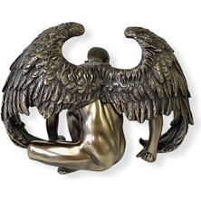 Rakun Home Wise Body Biblo / Angel