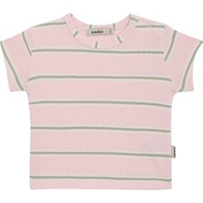 Antebies Organik Pembe Yeşil Çizgili Kısa Kollu Kız Bebek Tshirt