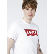Graphic Set-In Neck Tee