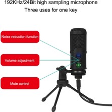 Hongshou Bm-65 Kalp Şeklindeki Işaretli USB Kondenser Mikrofon Seti