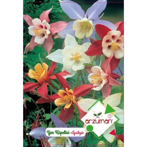 Yer Küpelisi Çiçek Tohumu Haseki Küpesi 30 'lu