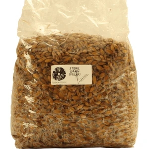 Evde Mantar Steril Yulaf / Hububat 1 kg - Mantar Miseli Üretmek Için - Mantar Tohumu Ekimi Için