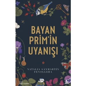Bayan Prim’in Uyanışı - Natalia Sanmartin Fenollera