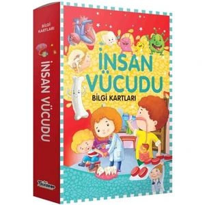 Teleskop Yayıncılık Bilgi Kartları - Insan Vücudu