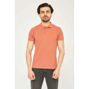 22YCEEO04613 Erkek Tarçın Polo Yaka T-Shirt