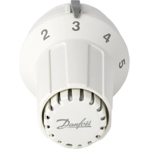 Termostatik Radyatör Vana Kapağı