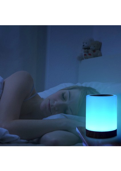 Tekdüze Dokunmatik Lamba fiyatları