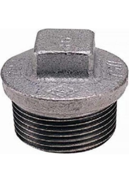 1/2" Galvaniz Tapa