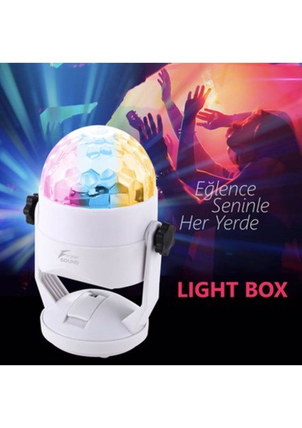 41 Light Box