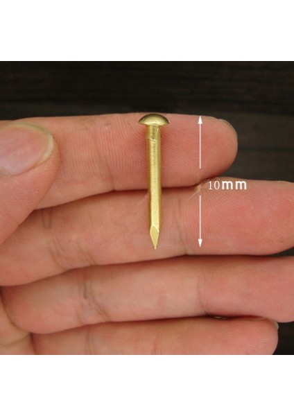 200 Adet Minyatür Çiviler Küçük Menteşeler Için Yuvarlak Başlı Çiviler Bebek Evleri Narin Kutular Mini El Sanatları Projeleri fırsatları