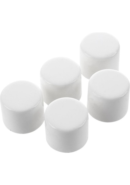 Srıwen 2020 10 Adet 20MM Beyaz Pvc Su Boru Ek Parçaları: 5 Adet Slip End Caps Kapakları ve 5 Adet Tee 3 Yollu Su Borusu Tüp Adaptör Konnektörleri(Yurt Dışından) modelleri