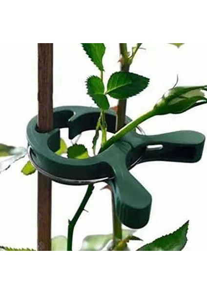 80 Adet Bahçe Tesisi Sabit Klip Vines Üzüm Destek Bağlantı Elemanı Sebze Çiçekler Bağlı Toka Kelepçe Sera Braketi(Yurt Dışından) fiyatları