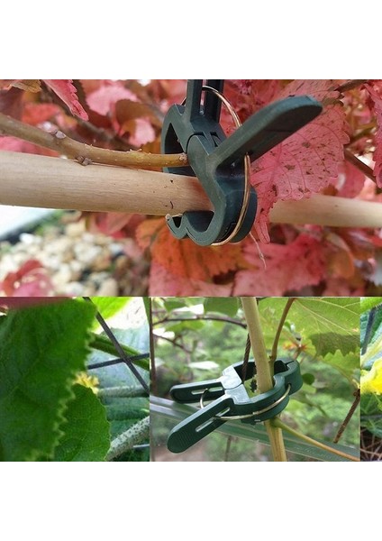 80 Adet Bahçe Tesisi Sabit Klip Vines Üzüm Destek Bağlantı Elemanı Sebze Çiçekler Bağlı Toka Kelepçe Sera Braketi(Yurt Dışından) fırsatları