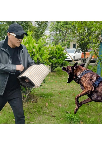 Dayanıklı Köpek Bite Kol Kol Eğitim Alman Çoban Oynama Koruma Oyuncaklar Siyah modelleri