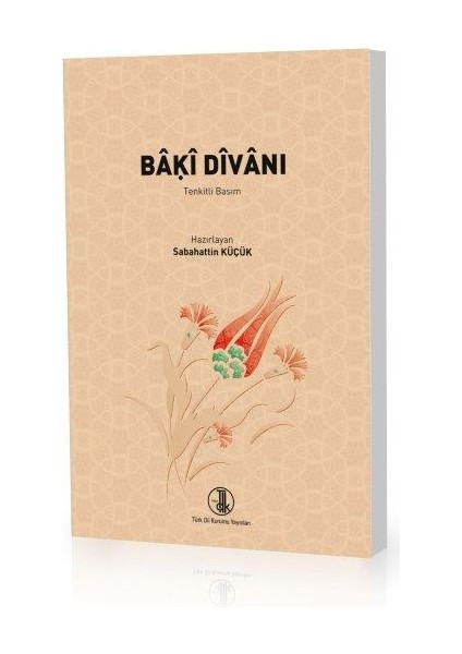 Bâki Divanı / Tdk