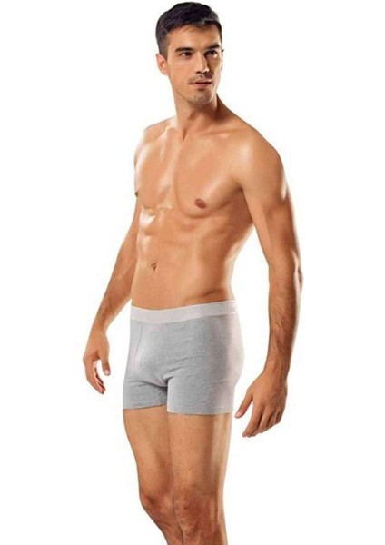 3 Adet Tutku Likralı Erkek Gri Boxer 0114
