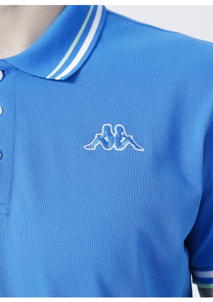 Logo Maltax 5 Mss Erkek Mavi-Beyaz-Fıstık Yeşili Regular Fit Polo Yaka Tişört fiyatları