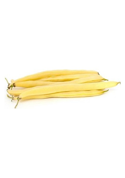 Fasülye Tohumu 2 Kg. (5000+ Adet) ERVA51 Sarı Özel Fasulye Tohumu