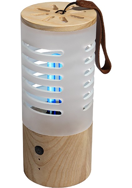 Uv Dezenfeksiyon Lambası Ev Için Çift Dezenfeksiyon USB Şarjı (Yurt Dışından)